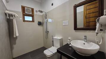 A bathroom with a shower, toilet, sink, and a hairdryer.
