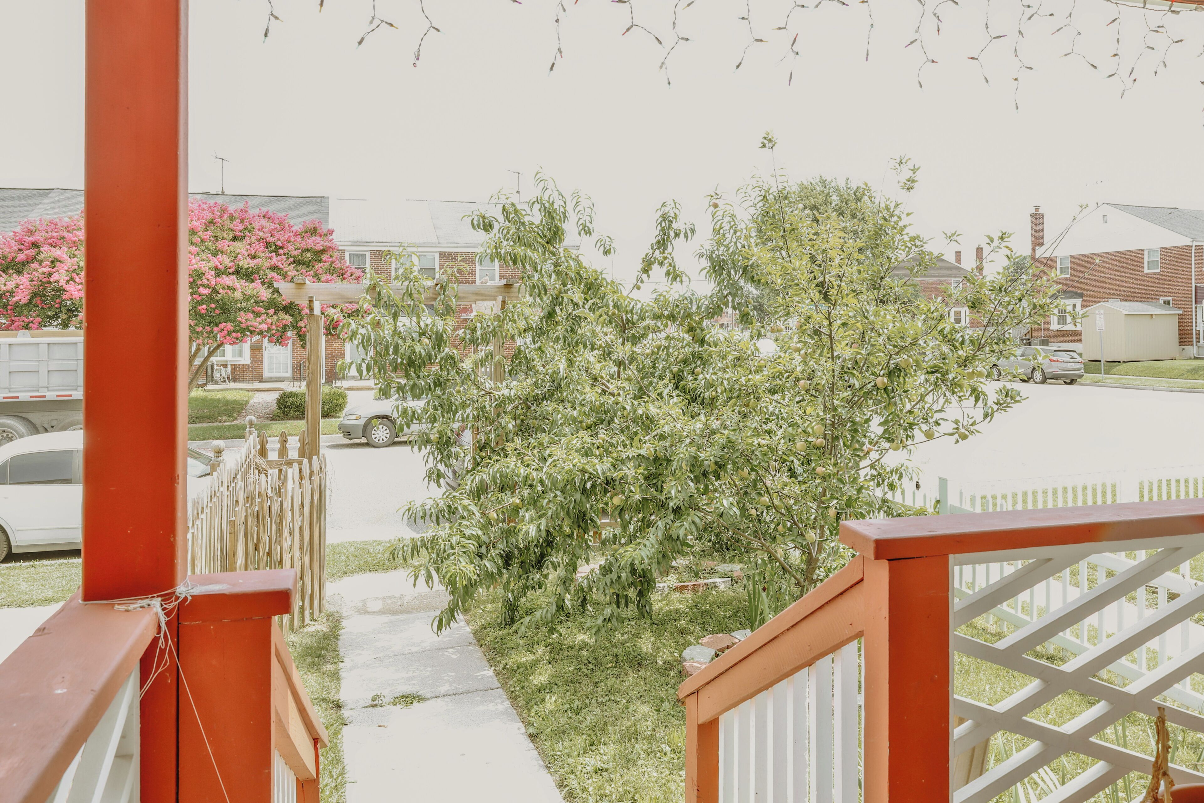 A residential area with a wooden fence, a tree, and a parked car.