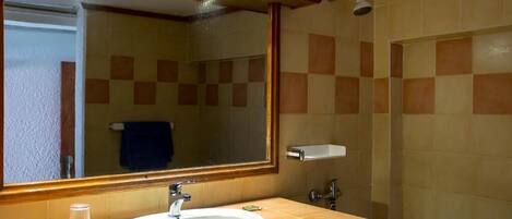 A bathroom with a sink, mirror, and shower.