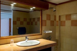 Un baño con lavamanos, espejo y ducha.
