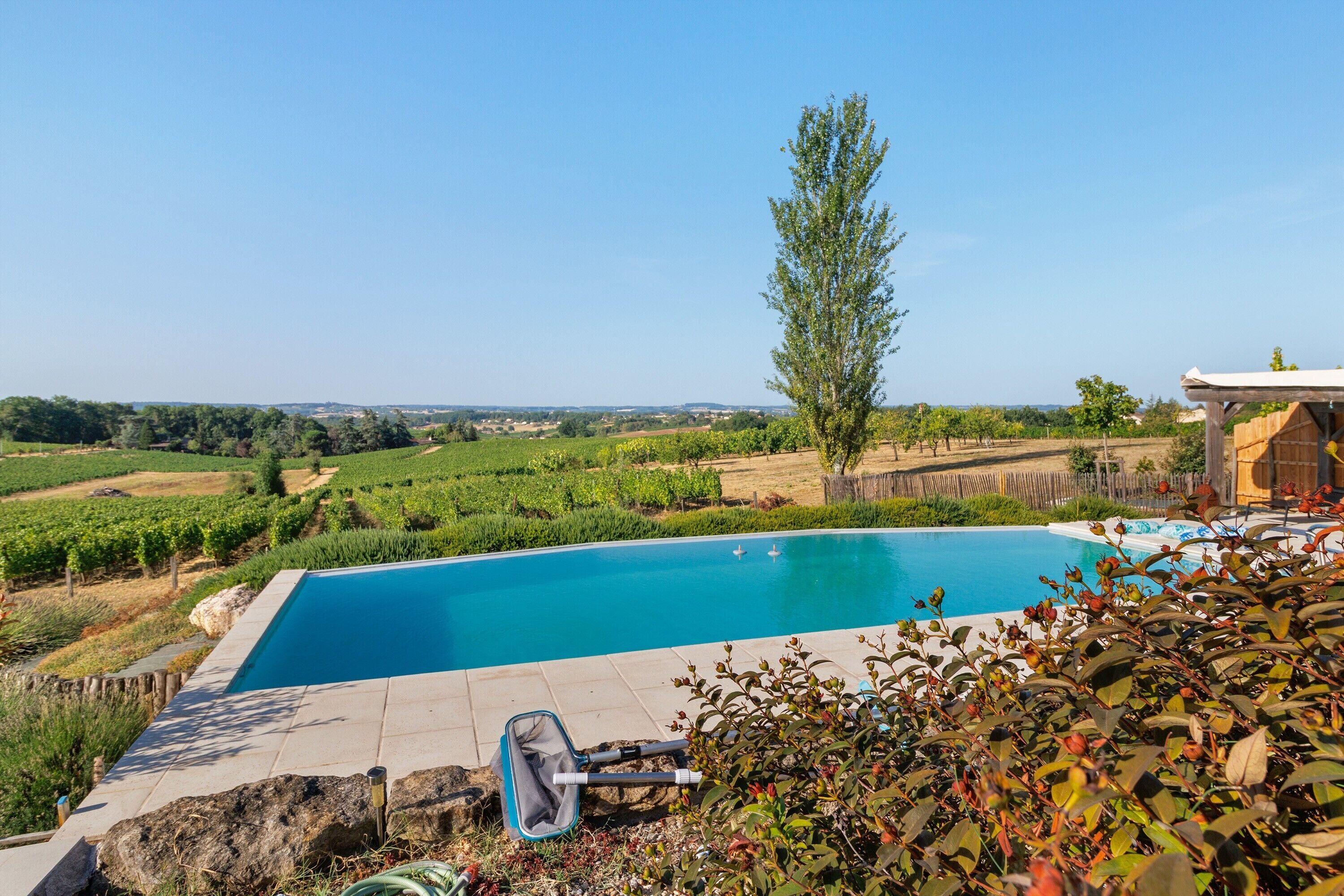 A swimming pool with a view of vineyards and a clear sky.
