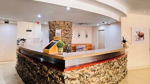 Zona de recepción con mostrador de piedra, una planta pequeña y un cuadro en la pared.