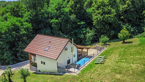 A house with a swimming pool, surrounded by trees and a grassy area. - Greenwood Retreat With Hot Tub & Sauna (Sveti Martin na Muri)