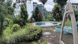 Un jardín con piscina circular, rodeado de plantas y árboles.