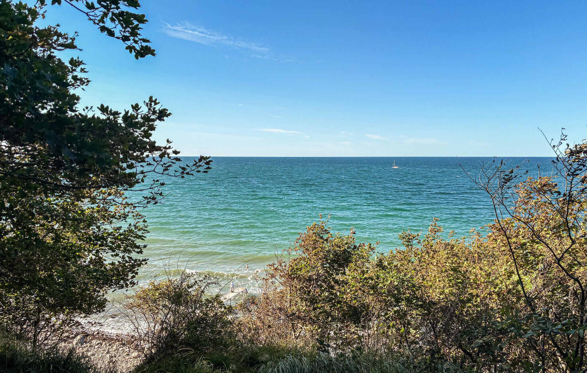 Ett kustlandskap med utsikt över havet och tät vegetation.