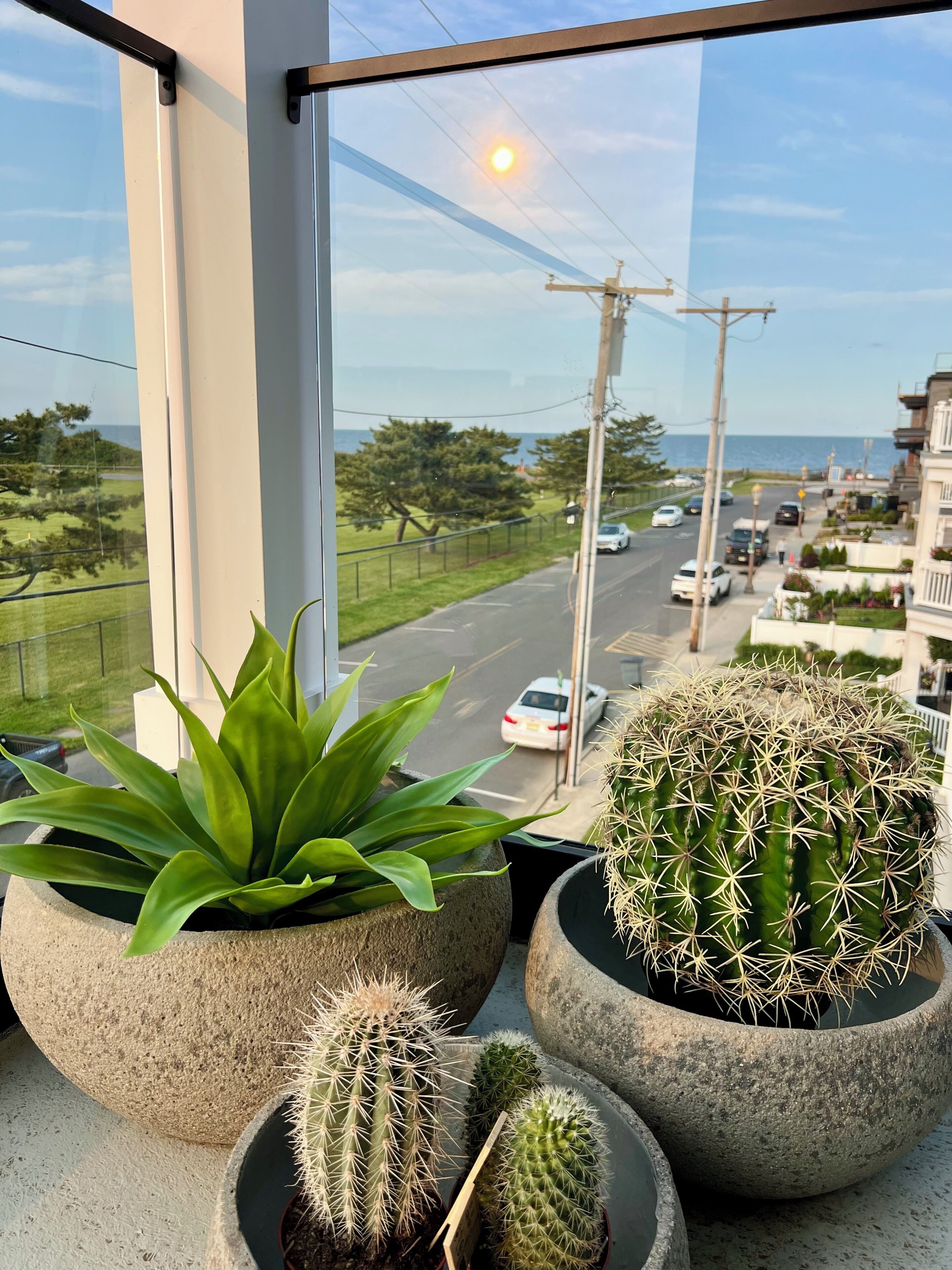 Ein Balkon mit Kakteen in Töpfen und Blick auf eine Straße und das Meer.