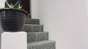 Departamento, 2 habitaciones, patio | Interior