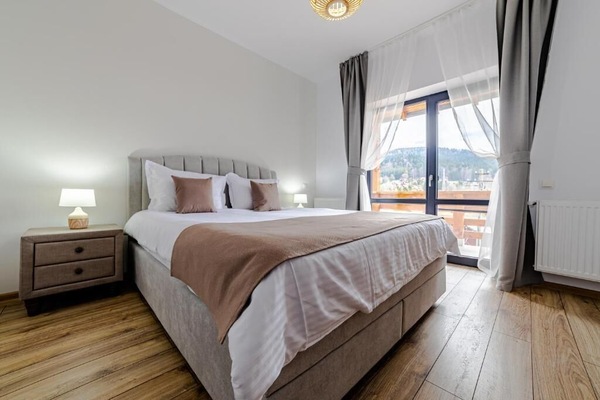 Apartment, 1 King Bed with Sofa bed, Kitchenette, Mountain View | In-room safe, iron/ironing board (on request), WiFi (free)