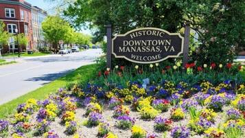A historic downtown welcome sign surrounded by a colorful flower bed.