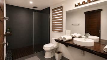 A modern bathroom with a dark tiled shower, a white toilet, and a vanity with two sinks and a mirror.