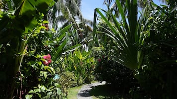 A pathway surrounded by lush greenery and palm trees.