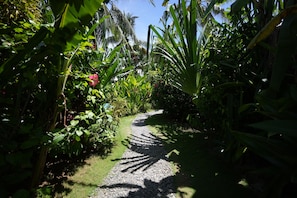 A garden pathway surrounded by lush greenery and plants. - PALAKA RESORT (General Luna)