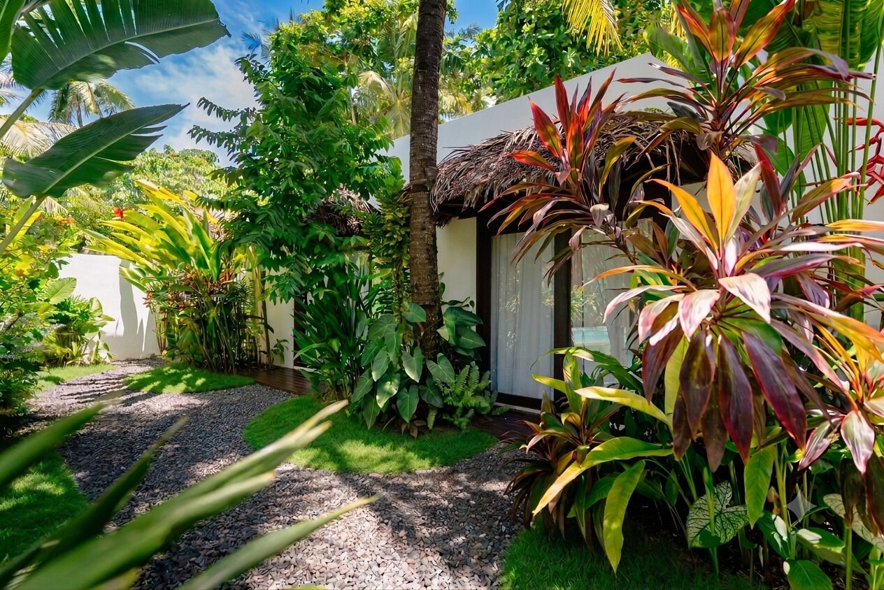 Un jardín tropical con un sendero que conduce a un edificio de techo de paja.