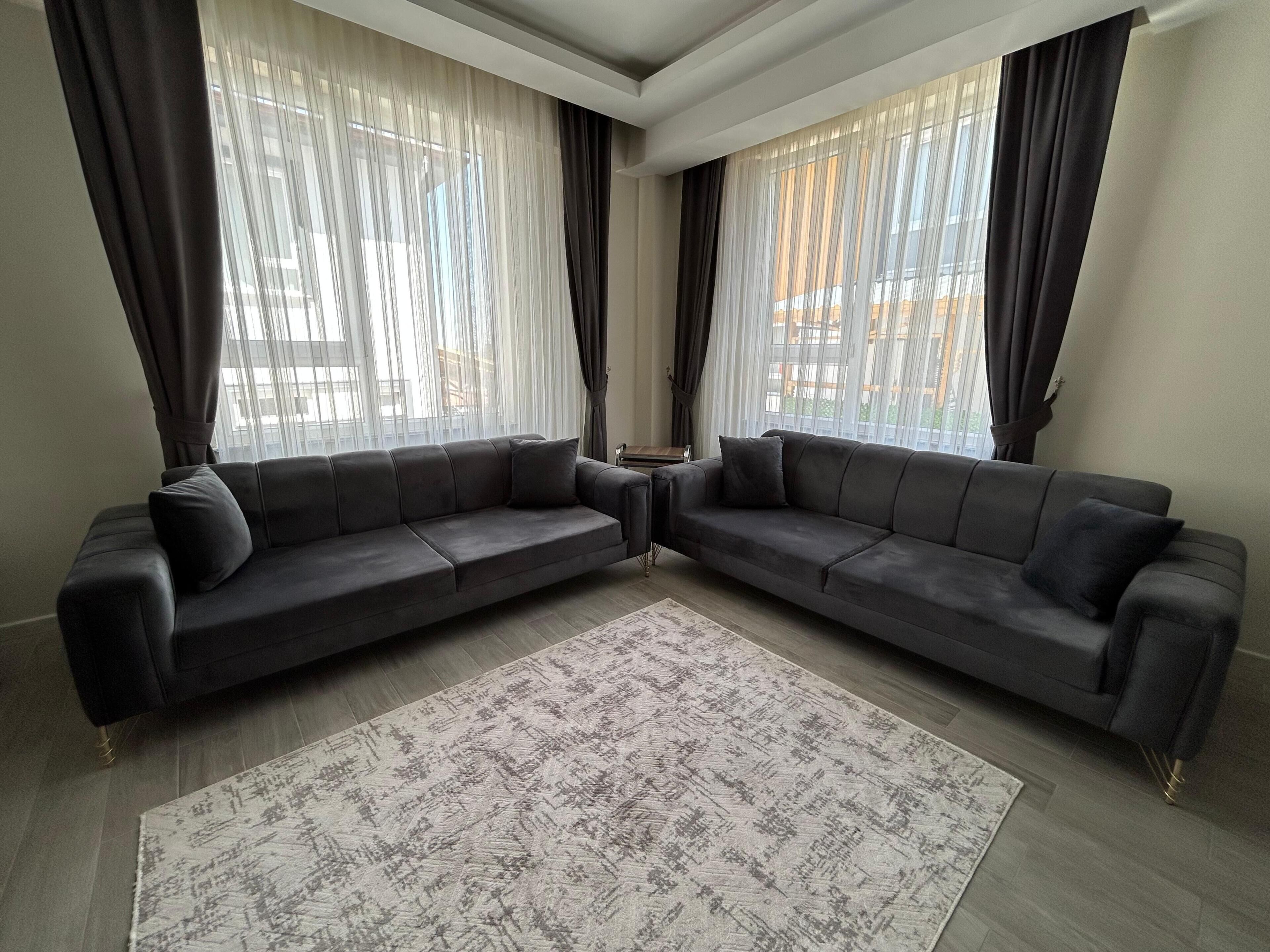 A living room with two dark sofas, a patterned rug, and sheer curtains on large windows.
