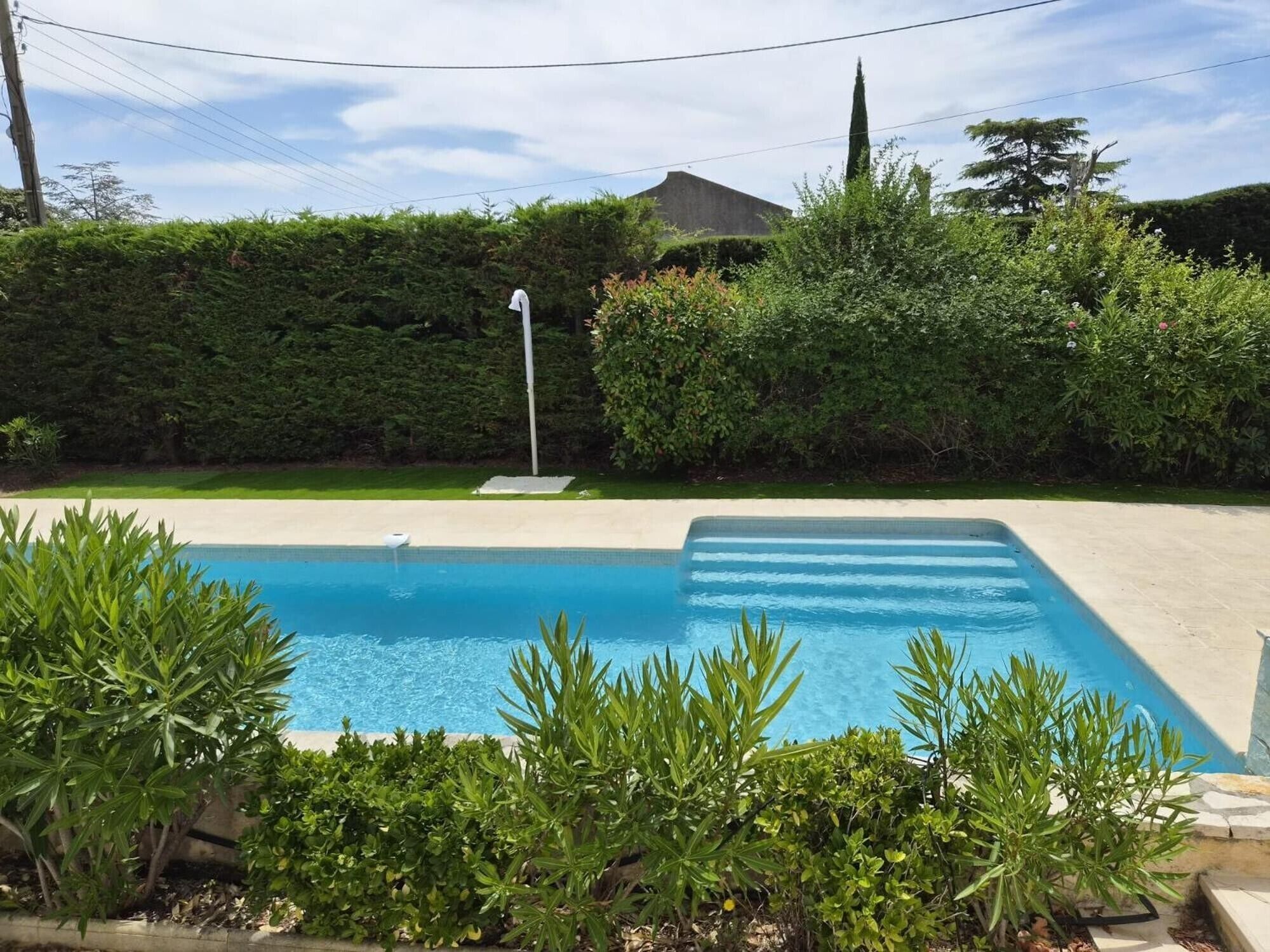 Una piscina rectangular con superficie de agua azul cristalina, rodeada de vegetación cuidada y un seto.