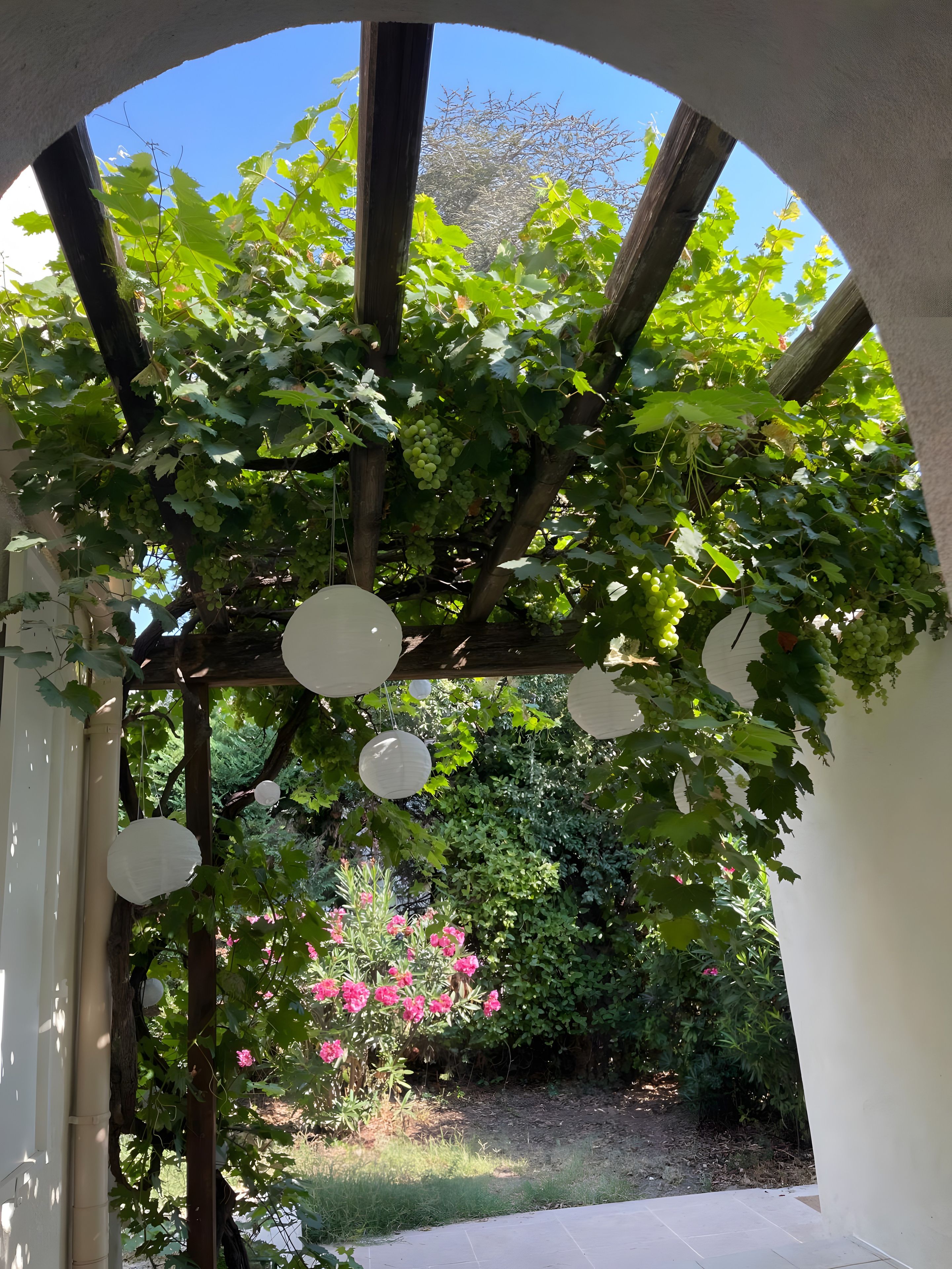 Une pergola ornée de vignes et de lanternes en papier suspendues, entourée d’une végétation luxuriante et de plantes en fleurs.
