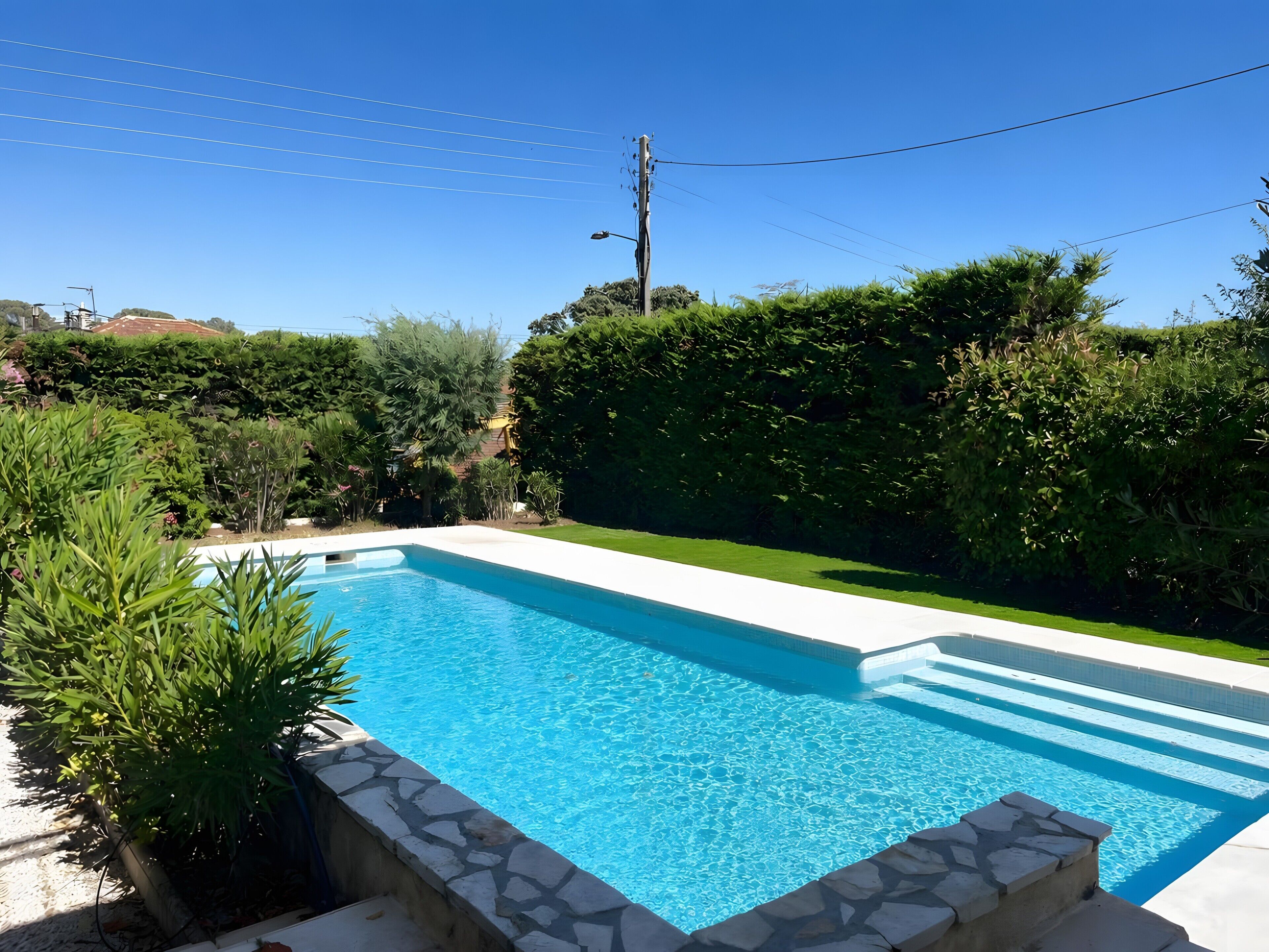 A rectangular swimming pool with a stone border, surrounded by lush greenery and a clear blue sky.