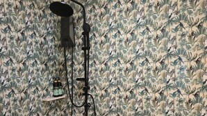 Un baño con ducha, inodoro e impresión de un animal tropical en la pared.