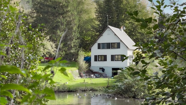 A house with a sloped roof, surrounded by trees and a body of water.
