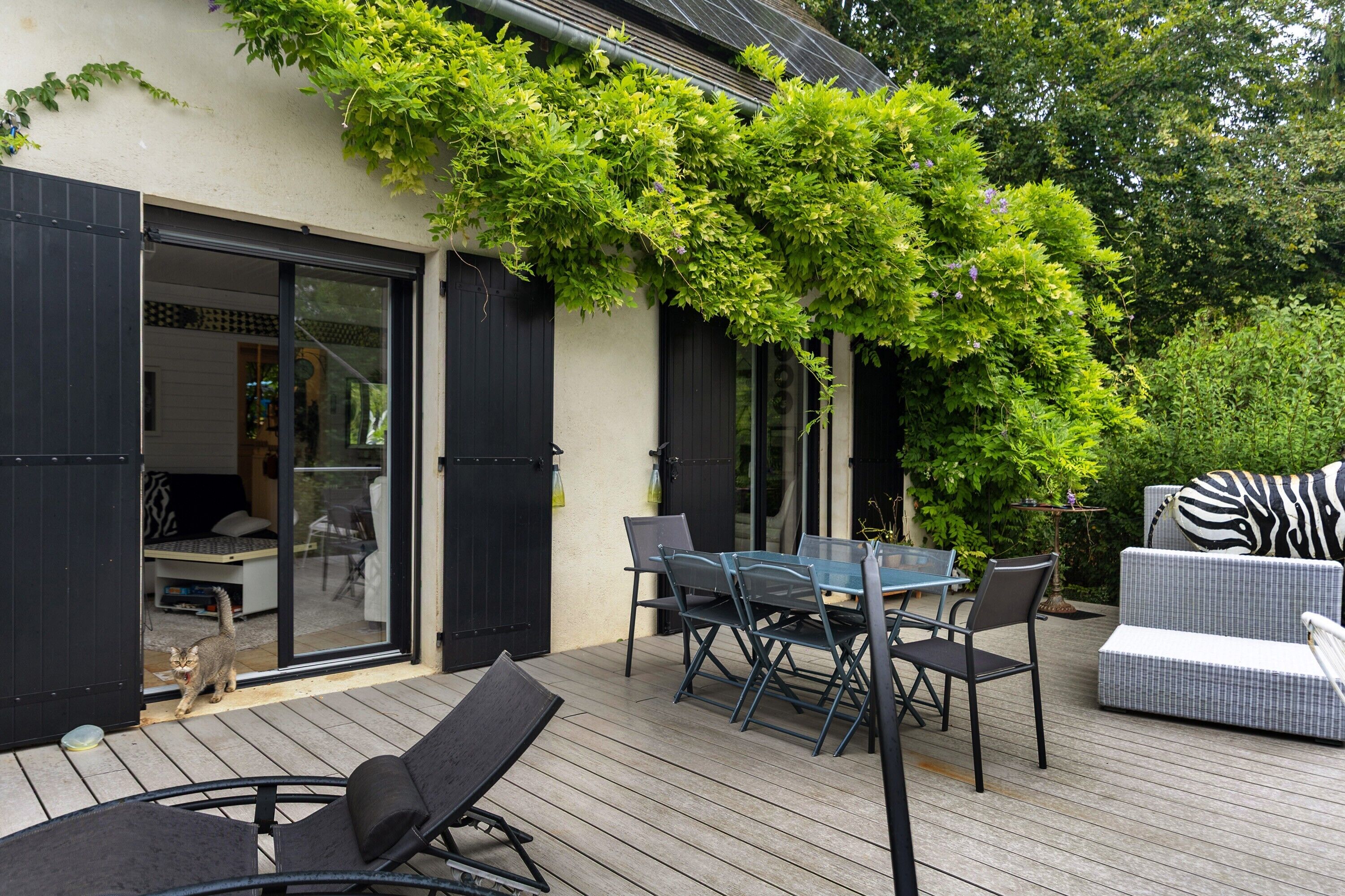 An outdoor patio with a table and chairs, a zebra-patterned cushion, and a cat near the entrance.