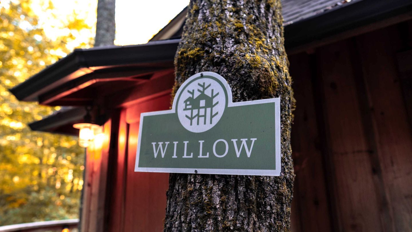 A sign with the name 'WILLOW' attached to a tree.