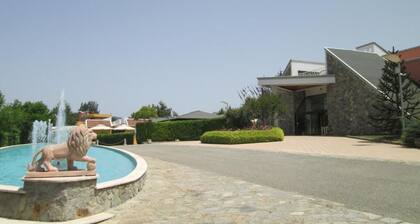 Palahotel Vallenoce