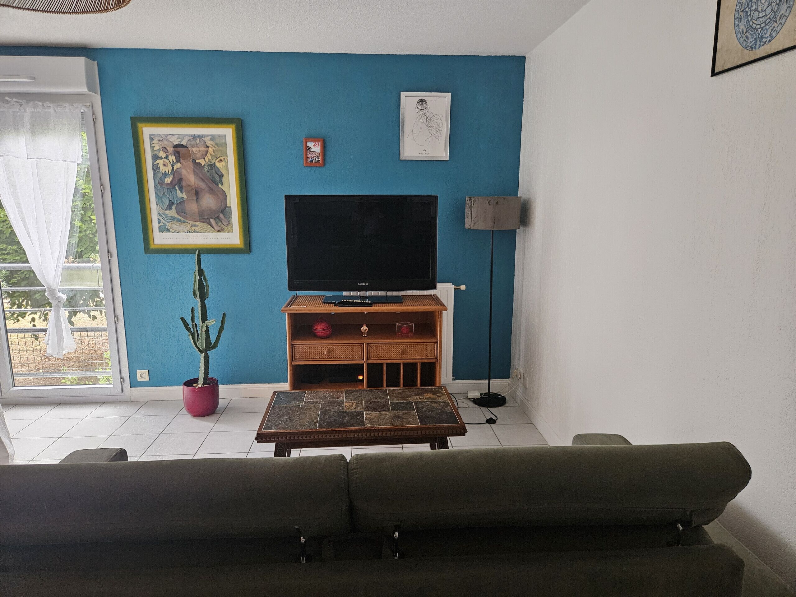 A living room with a blue wall, a television on a wooden stand, a cactus plant, and a sofa.