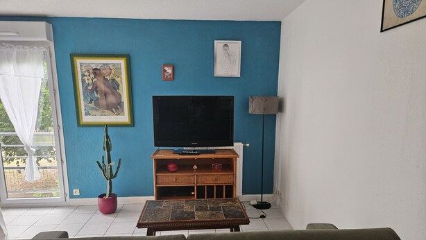 A living room with a blue wall, a television on a wooden stand, a cactus plant, and a sofa. - L'amirauté pour 4 personnes (La Rochelle)