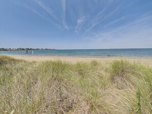 Ein Strand mit blauem Himmel, sandigem Ufer und grünen Dünen.