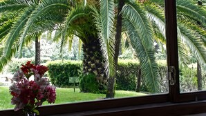 A window with a view of a garden, a vase with flowers, and a glass on a wooden table. - Apartment 'Studio Cannes Gallia' (Cannes)