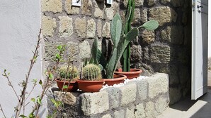 Een muur met potten met cactussen en een takje.