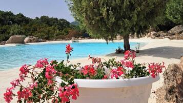 Ein Strand mit einem großen Baum und einem weißen Blumentopf mit rosa Blumen.