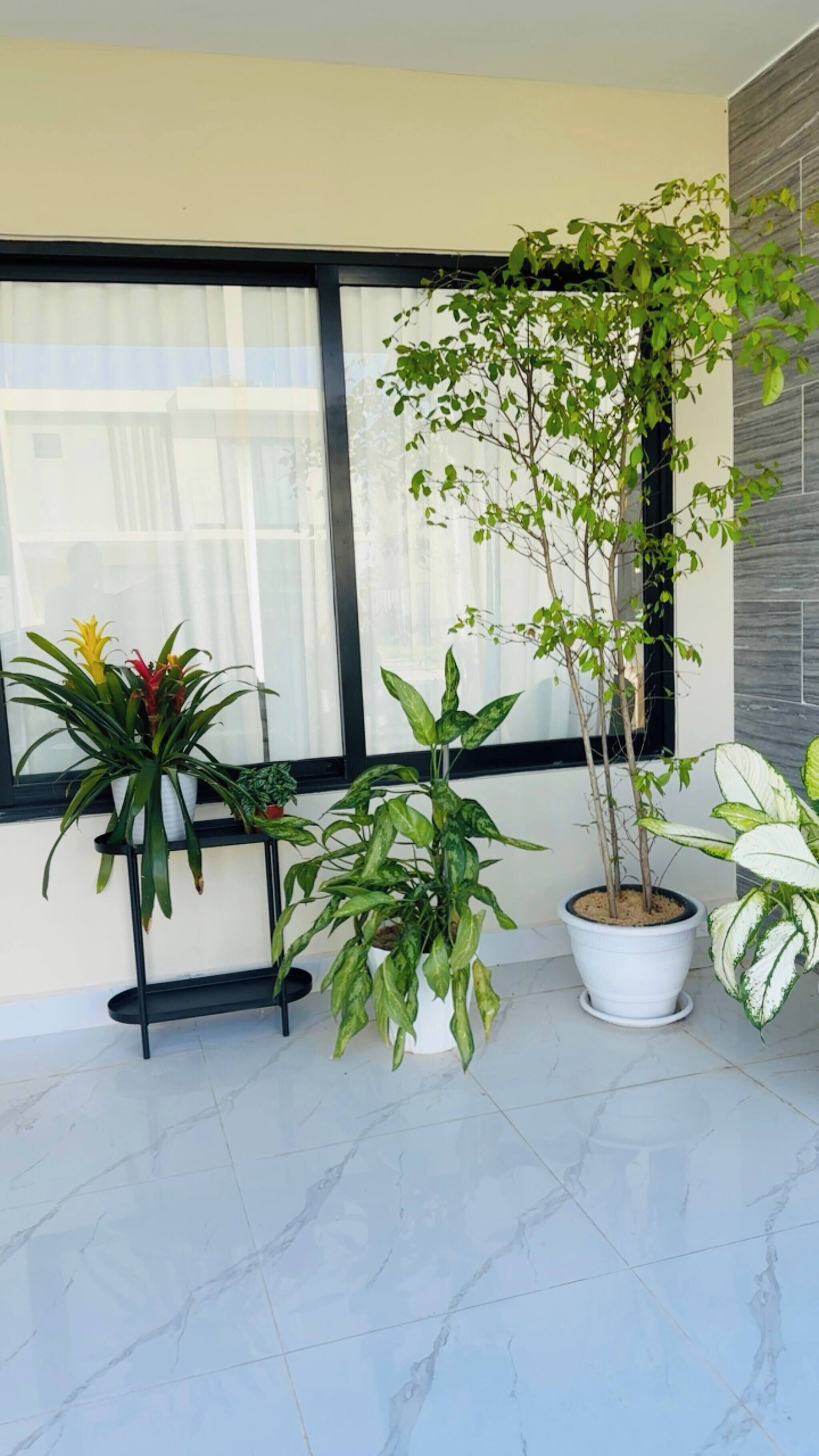 Un balcón con plantas en macetas y una ventana.