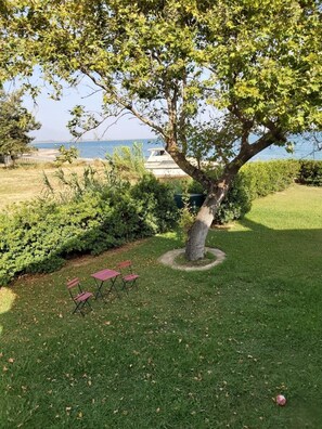 A grassy area with a tree and a bench. - Villa Marilena at Nafpaktos. (Paleopanagia)