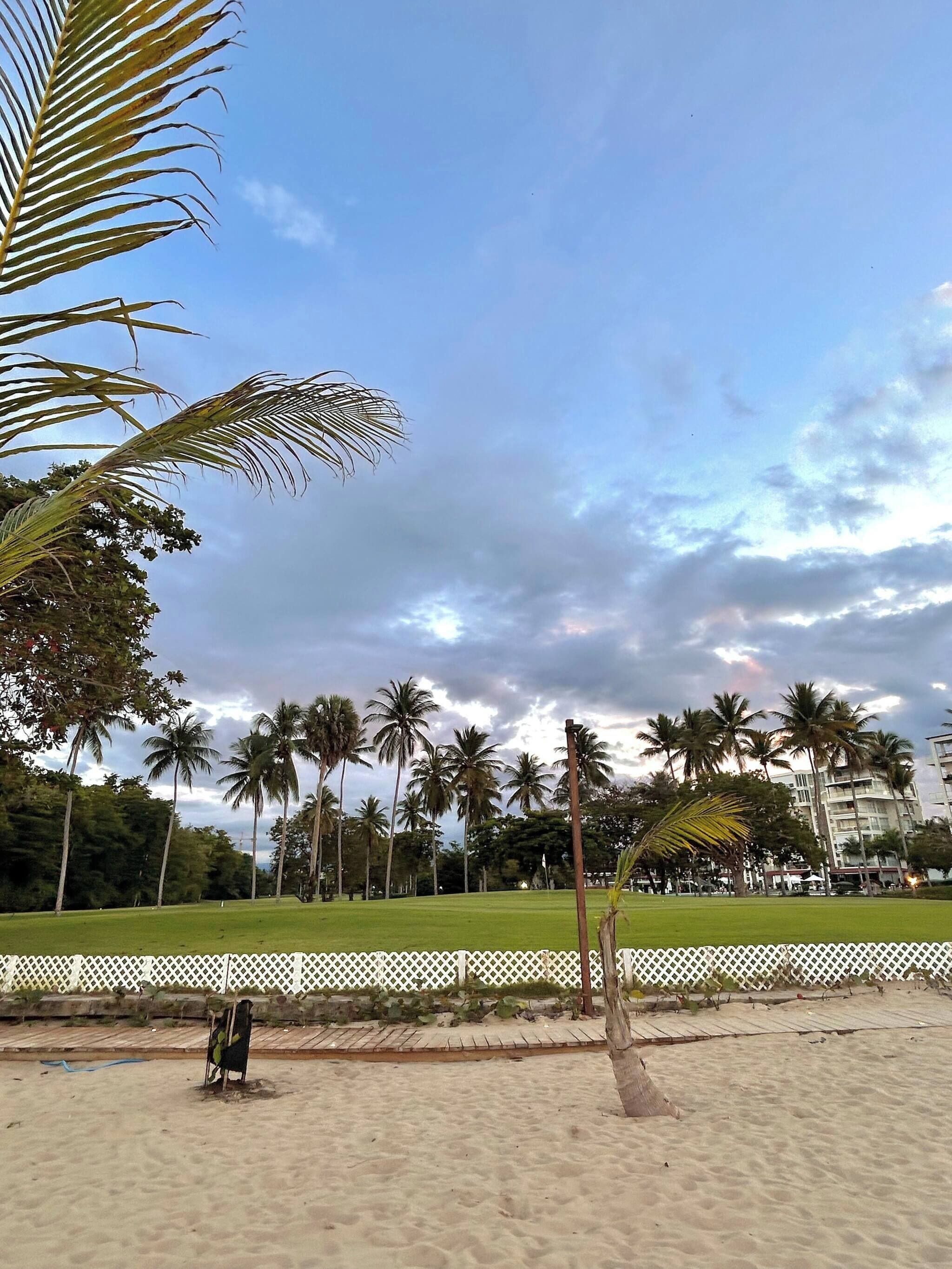 A beach with palm trees, a white fence, and a grassy area.