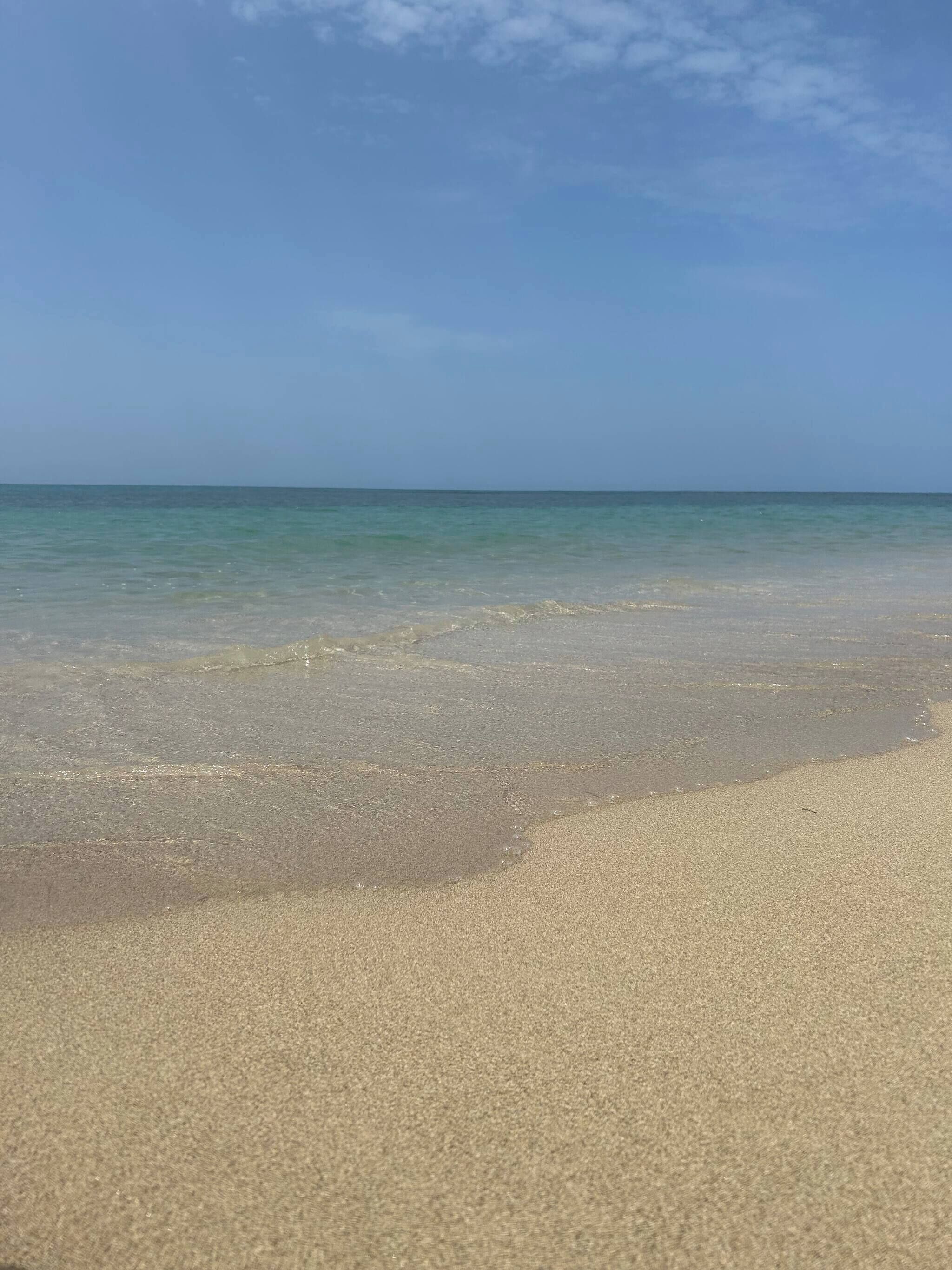 Una playa con aguas cristalinas y una orilla arenosa.