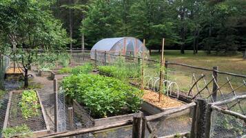 A garden with raised beds, a greenhouse, and a wooden fence.