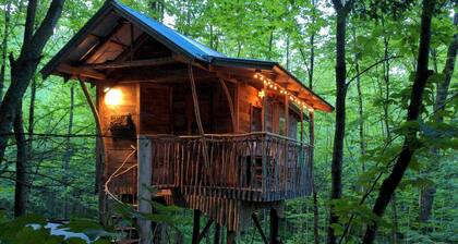 Charming Treehouse with Private Woodland Retreat near Saratoga Springs, Middle Grove, New York