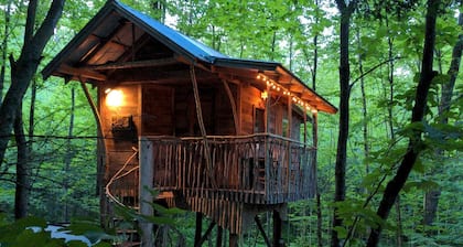 Charming Treehouse with Private Woodland Retreat near Saratoga Springs, Middle Grove, New York