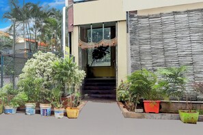 Uma entrada de edifício com degraus que levam a uma porta, cercada por plantas em vasos.