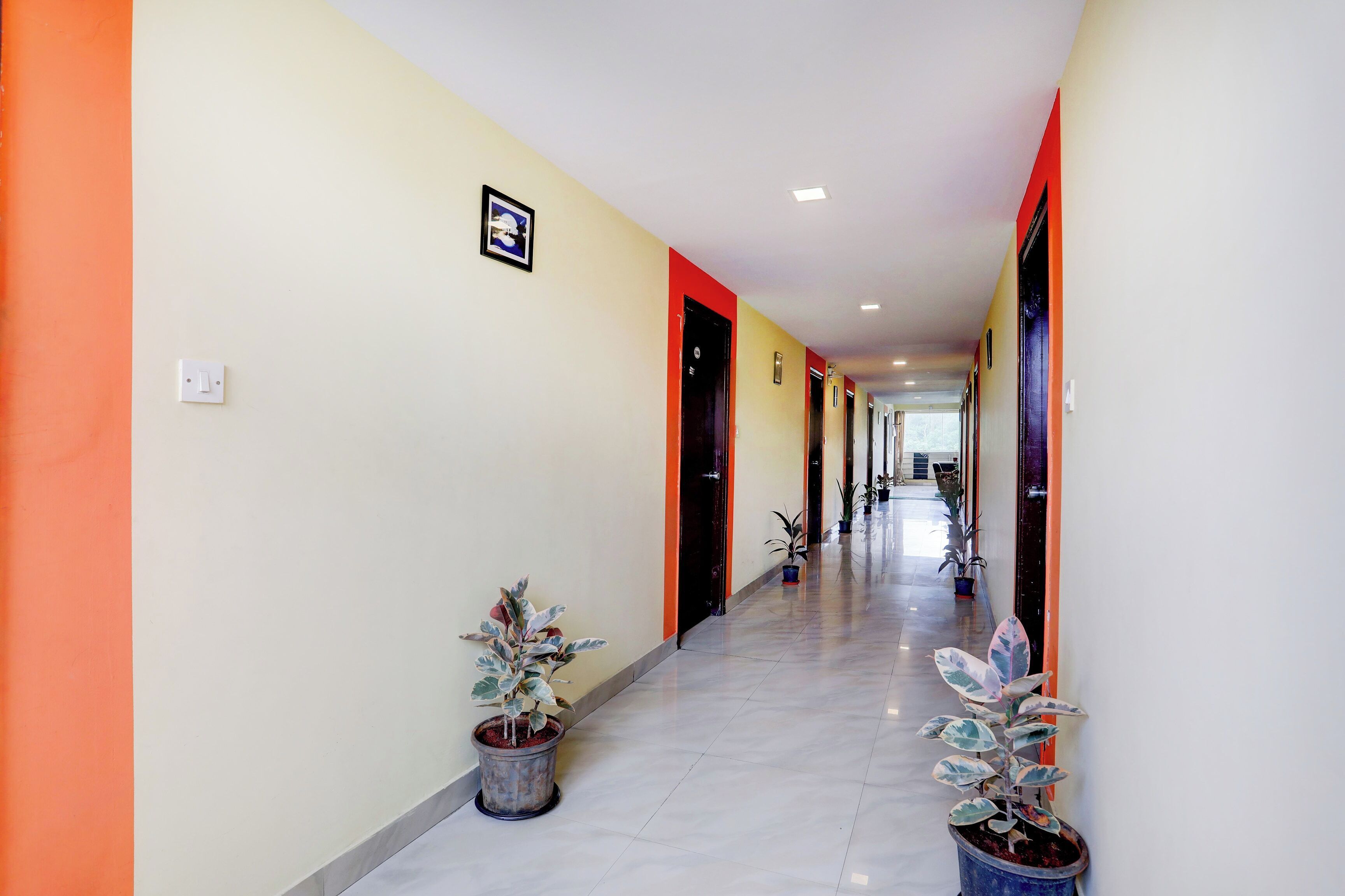 A hotel corridor with doors, potted plants, and a light switch on the wall.