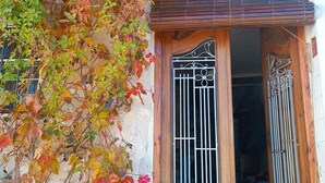 A building entrance with a wooden door and metal gate, partially covered by climbing plants.