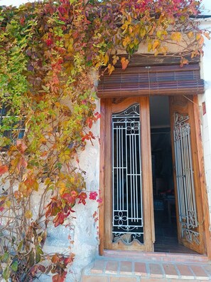 A building entrance with a wooden door and metal gate, partially covered by climbing plants.