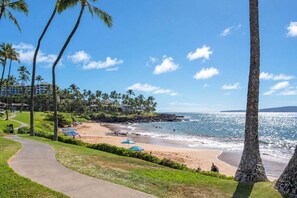 A coastal resort with a paved walkway, palm trees, beach umbrellas, and a view of the ocean. - Wailea Elua 1104 - Ocean Views, Central A/C, Walk to Ulua Beach, Shops & Dining! (Kihei)