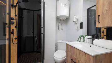 Shower, hair dryer, towels, shampoo