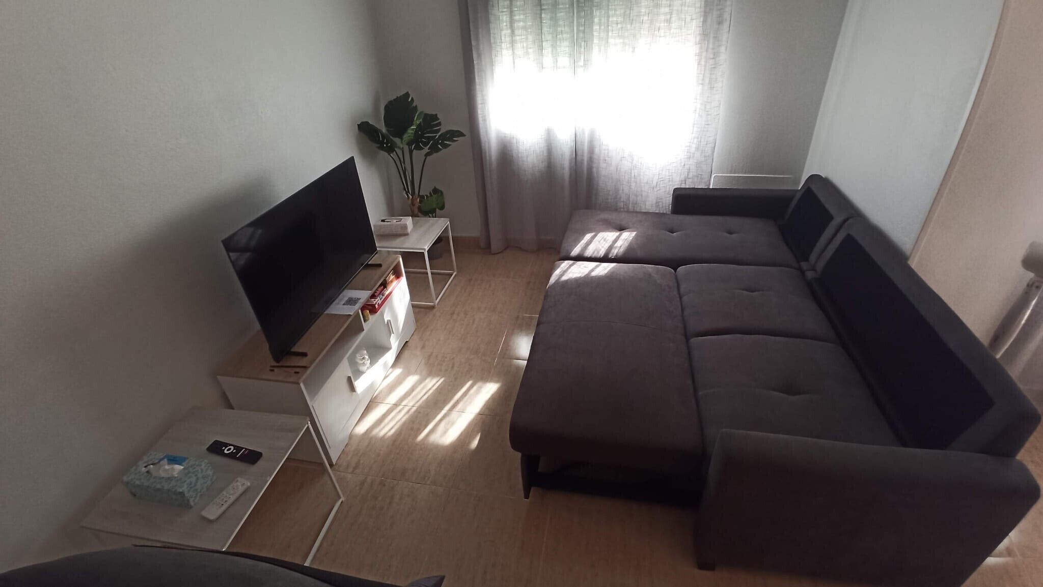 TV