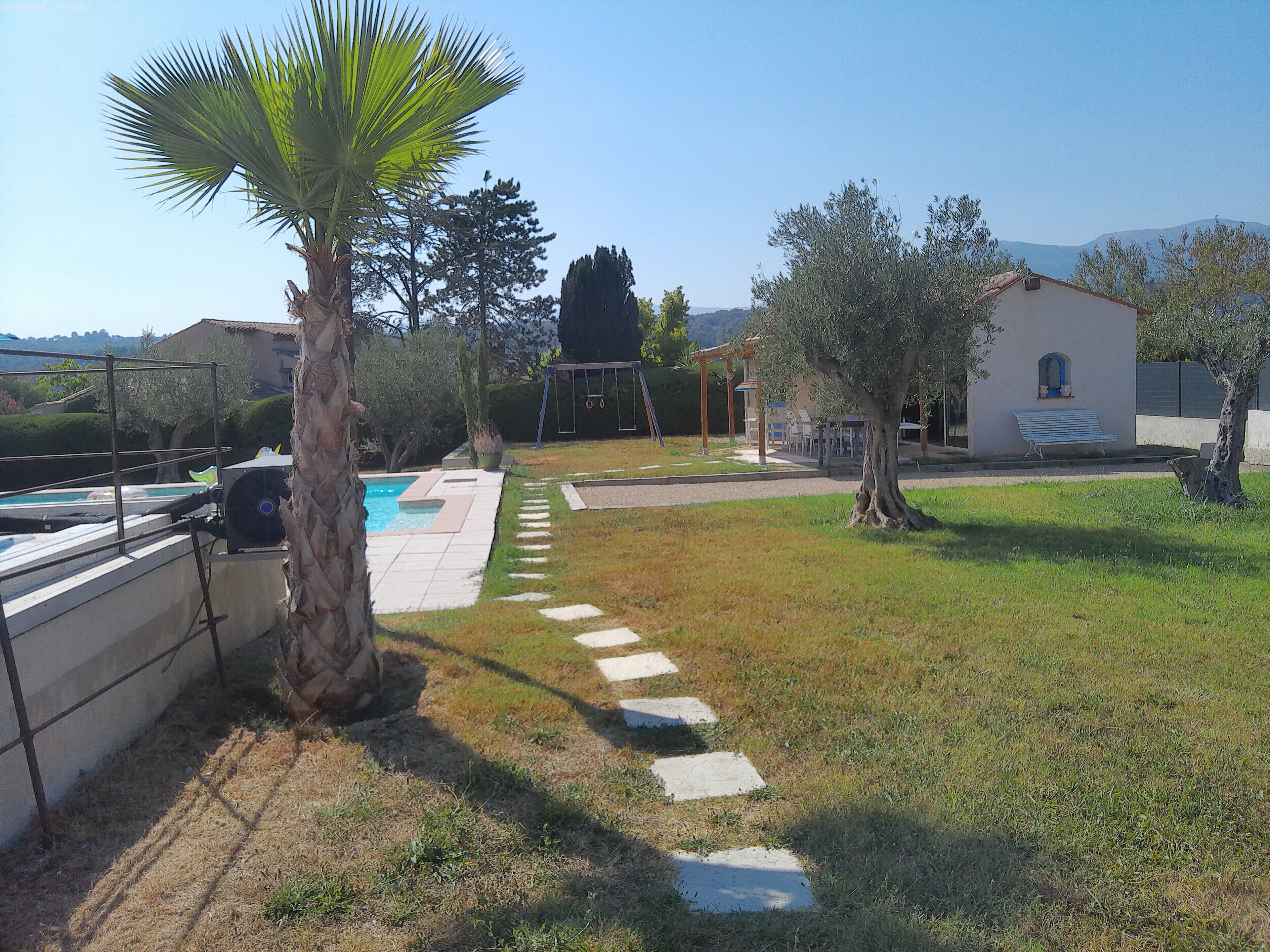 A residential outdoor area with a swimming pool, a palm tree, a stone pathway, and a building with a bench.