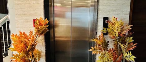 An elevator with a metallic finish, flanked by potted plants with autumn leaves.