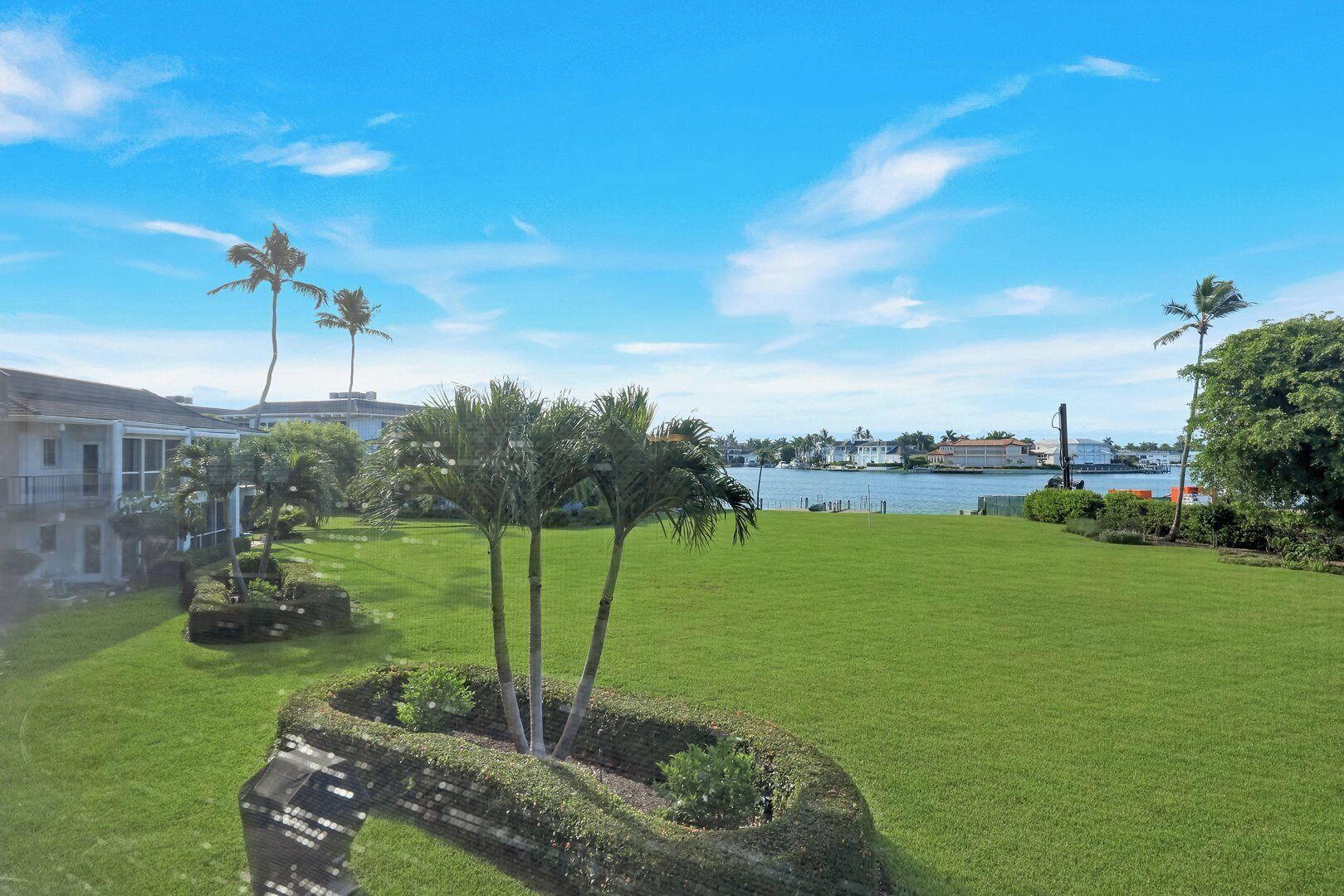 A well-maintained lawn with palm trees, a body of water, and buildings in the background.