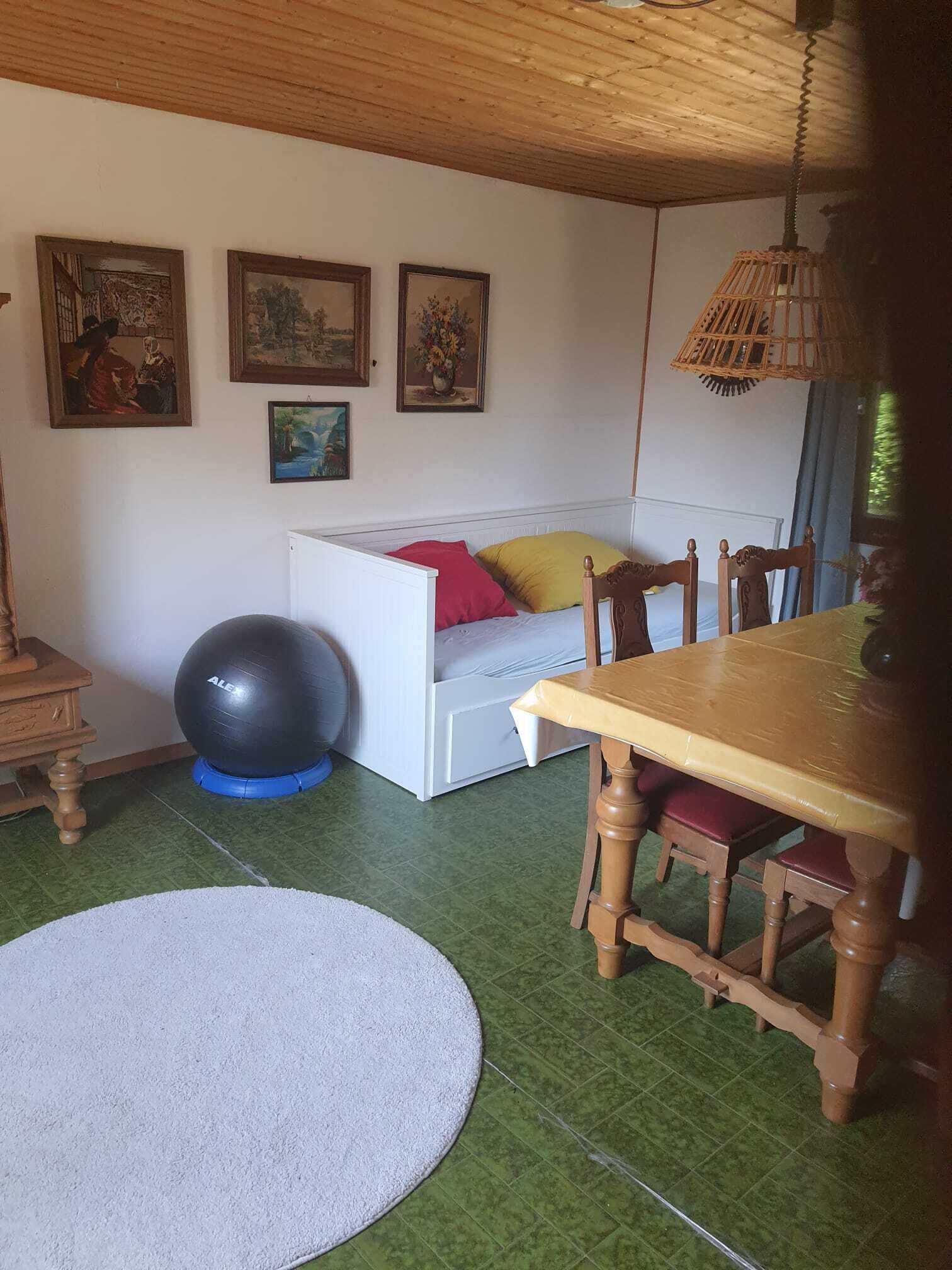 A room with a bed, a dining table, chairs, a round rug, exercise ball, and wall-mounted pictures.